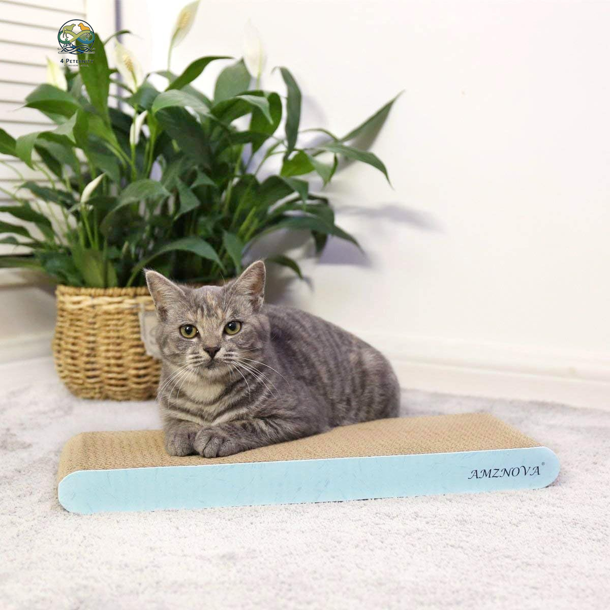 Cat Scratcher, Cardboard Cat Scratchers, Durable & Recyclable Scratching Pad, Colors Series, Narrow, Baby Blue