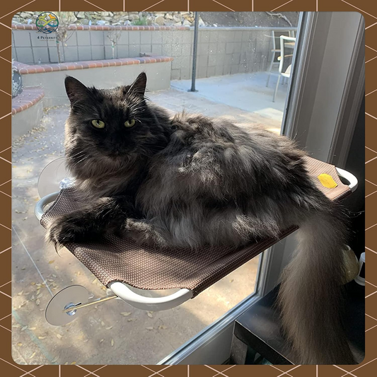 Cat Window Perch, Cozy Cat Window Hammock for Sunbathing Experience, Give Your Cat the Best Seat in the House with a Cat Window Bed - the Best Cat Perch for Your Furry Friend (M, Brown)