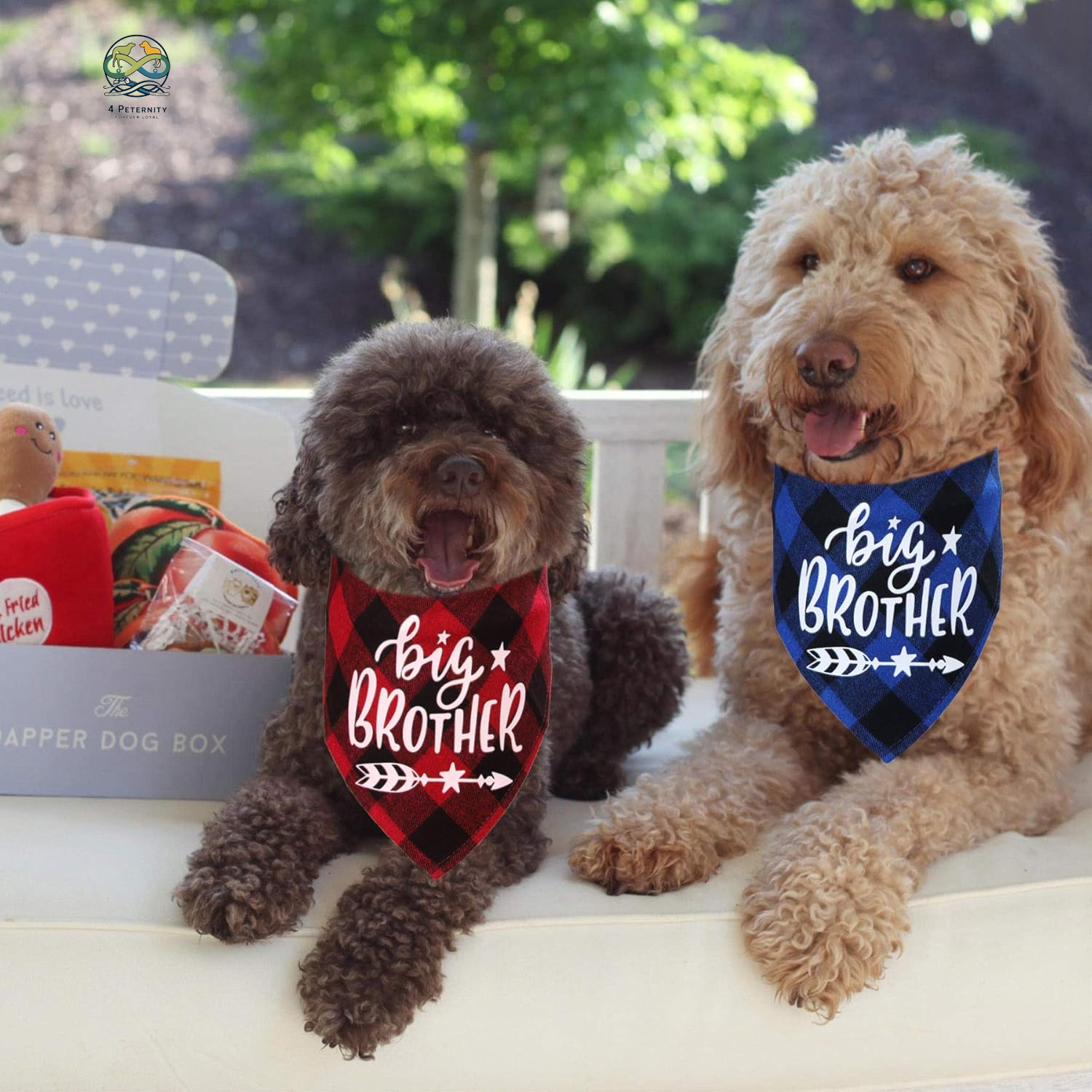 2 Pack Big Brother Plaid Dog Bandana, Pregnancy Announcement Plaid Dog Bandana, Gender Reveal Photo Prop, Pet Scarf Accessories, Pet Scarves for Dogs (Blue and Red)