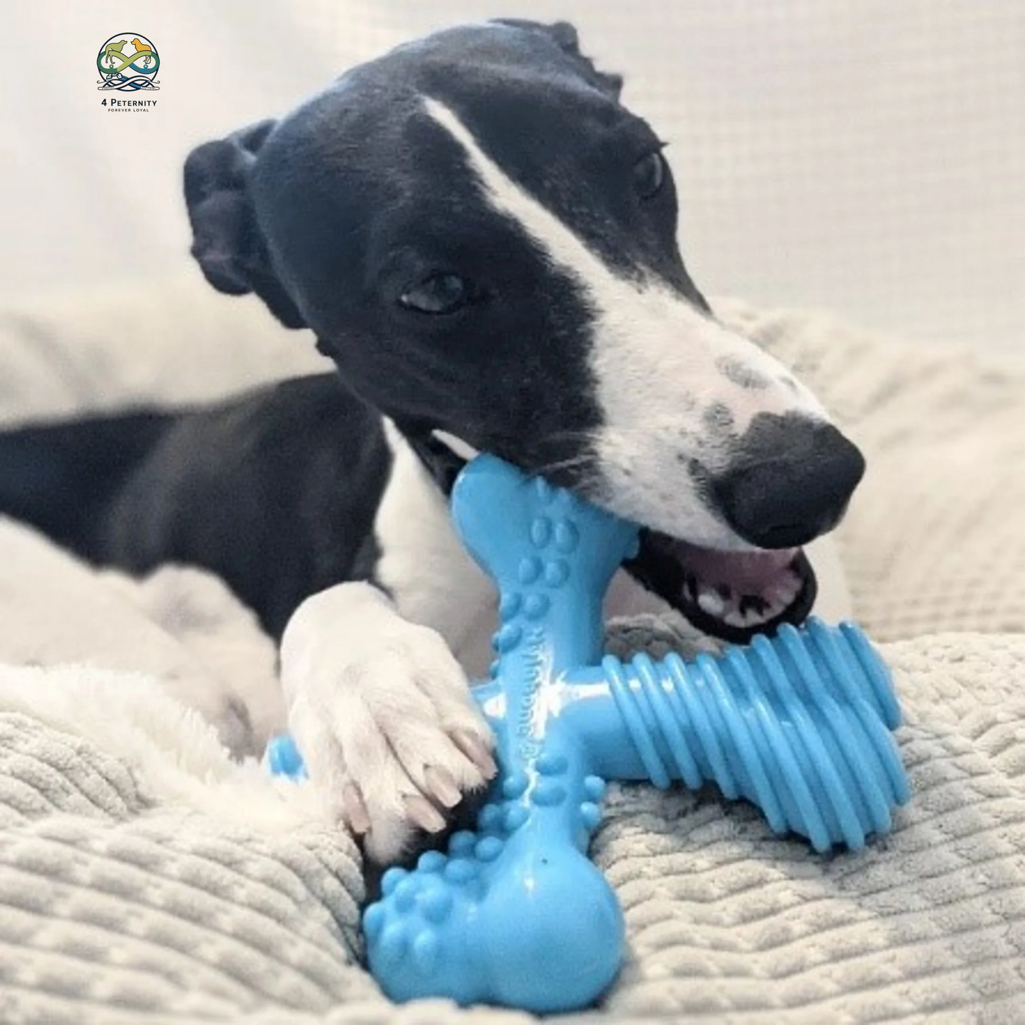 Power Chew Comfort Hold X Bone Dog Toy Beef Large/Giant - up to 50 Lbs. (1 Count)